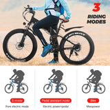 KAISDA K3 Fat-Tire Off-Road Folding Electric Mountain Bicycle