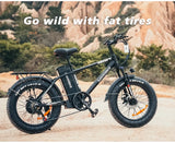 SAMEBIKE XWC05 20 Inch Fat Tire Ebike